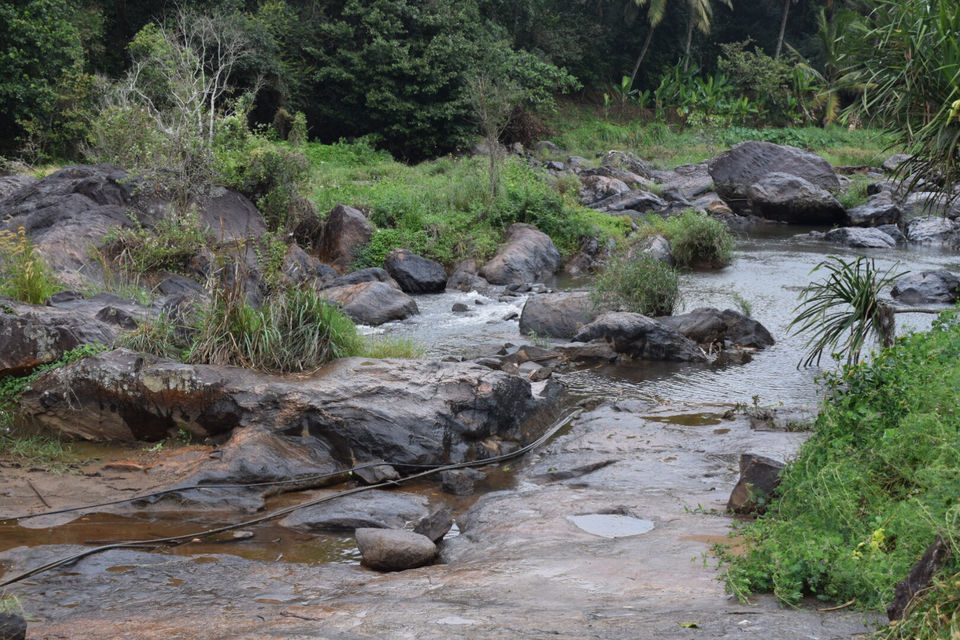 Photo of Munnar, Kerala, India by Mansi