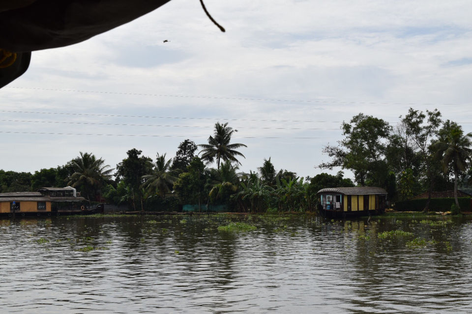Photo of Alleppey, Kerala, India by Mansi