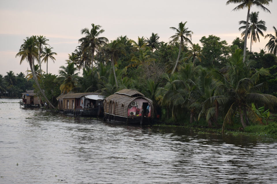 Photo of Alleppey, Kerala, India by Mansi