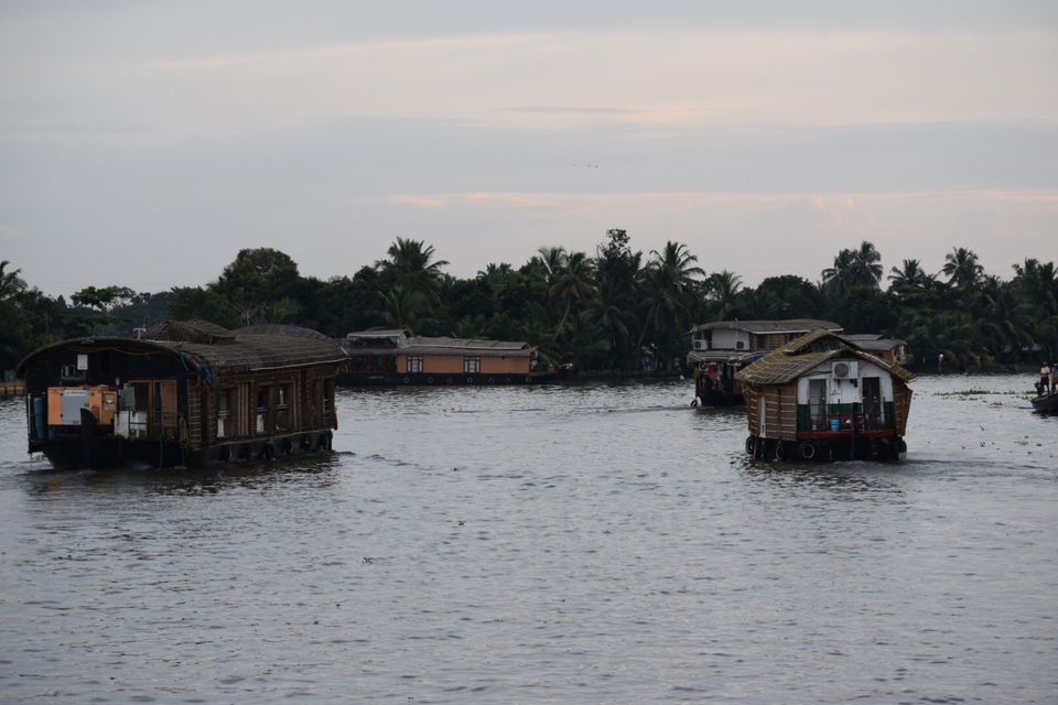 Photo of Alleppey, Kerala, India by Mansi