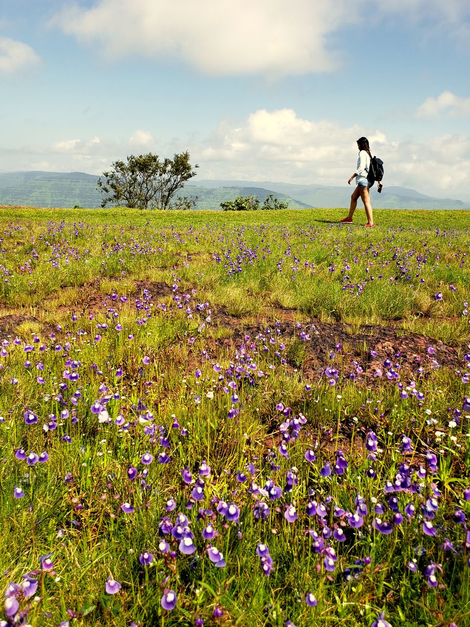 Photo of Panchgani: A Wanderer's Paradise by Supriya Upadhyay