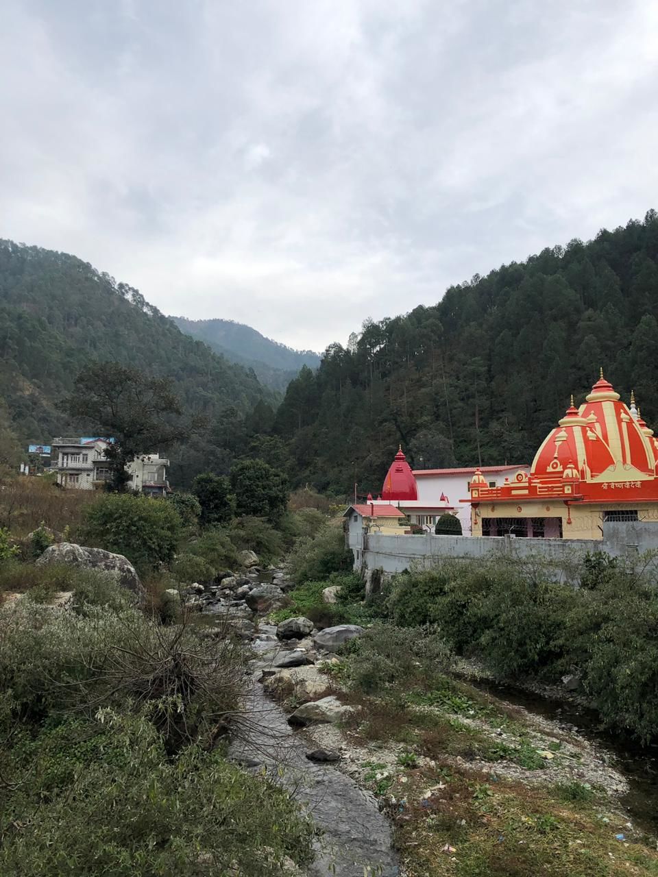 Photo of Nainital: Uttarakhand's Crown Jewel 11/14 by Supriya Upadhyay