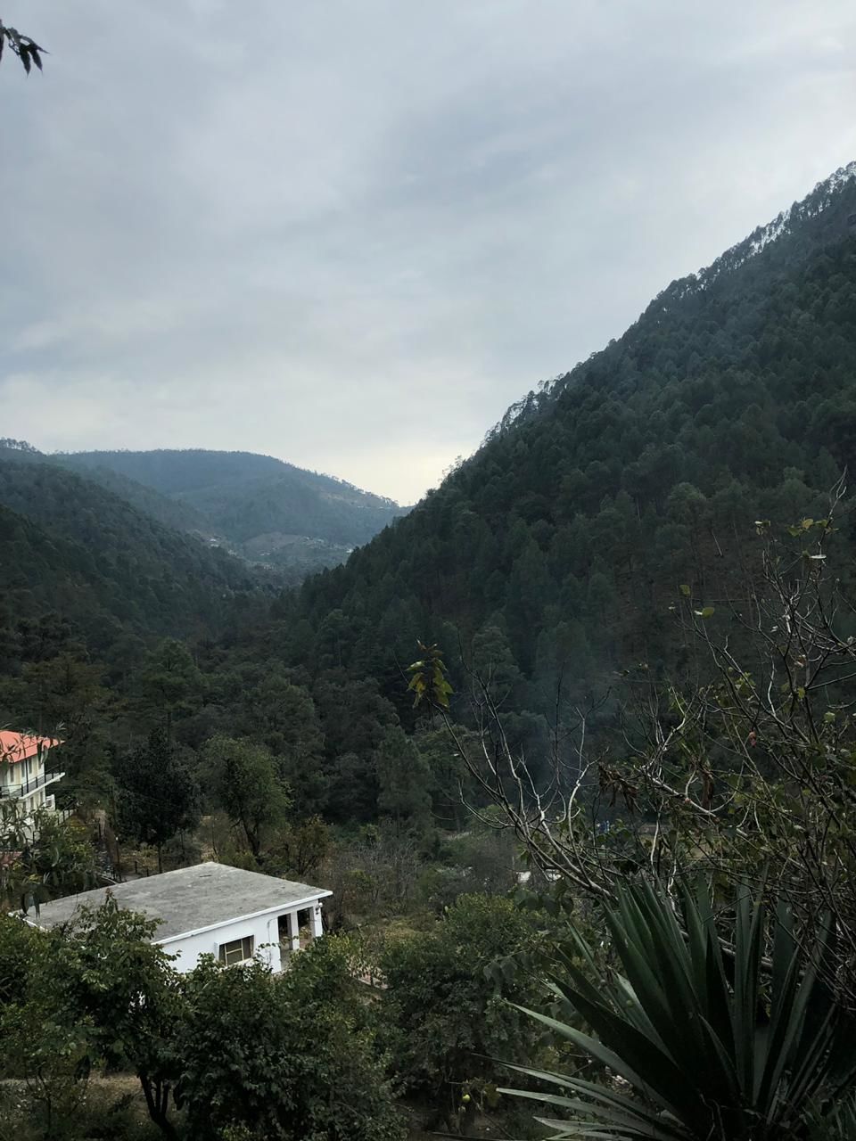 Photo of Nainital: Uttarakhand's Crown Jewel 13/14 by Supriya Upadhyay