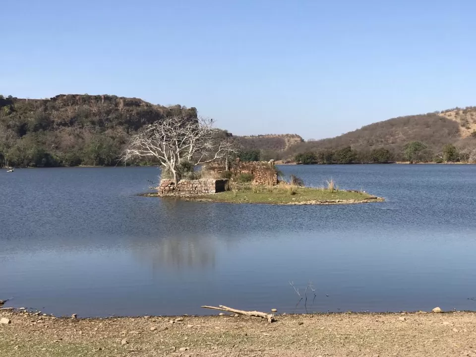 Photo of Ranthambore Fort, Ranthambhor Road, Vigyan Nagar, Sawai Madhopur, Rajasthan, India by Dhawal Pagay