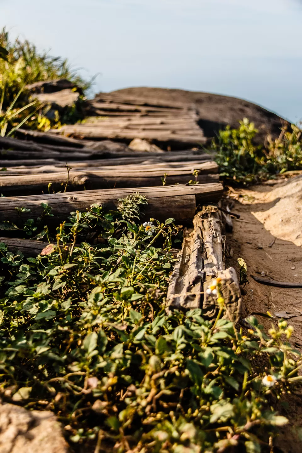 Photo of Sơn Trà, Da Nang, Vietnam by Andrew Ng De Rong