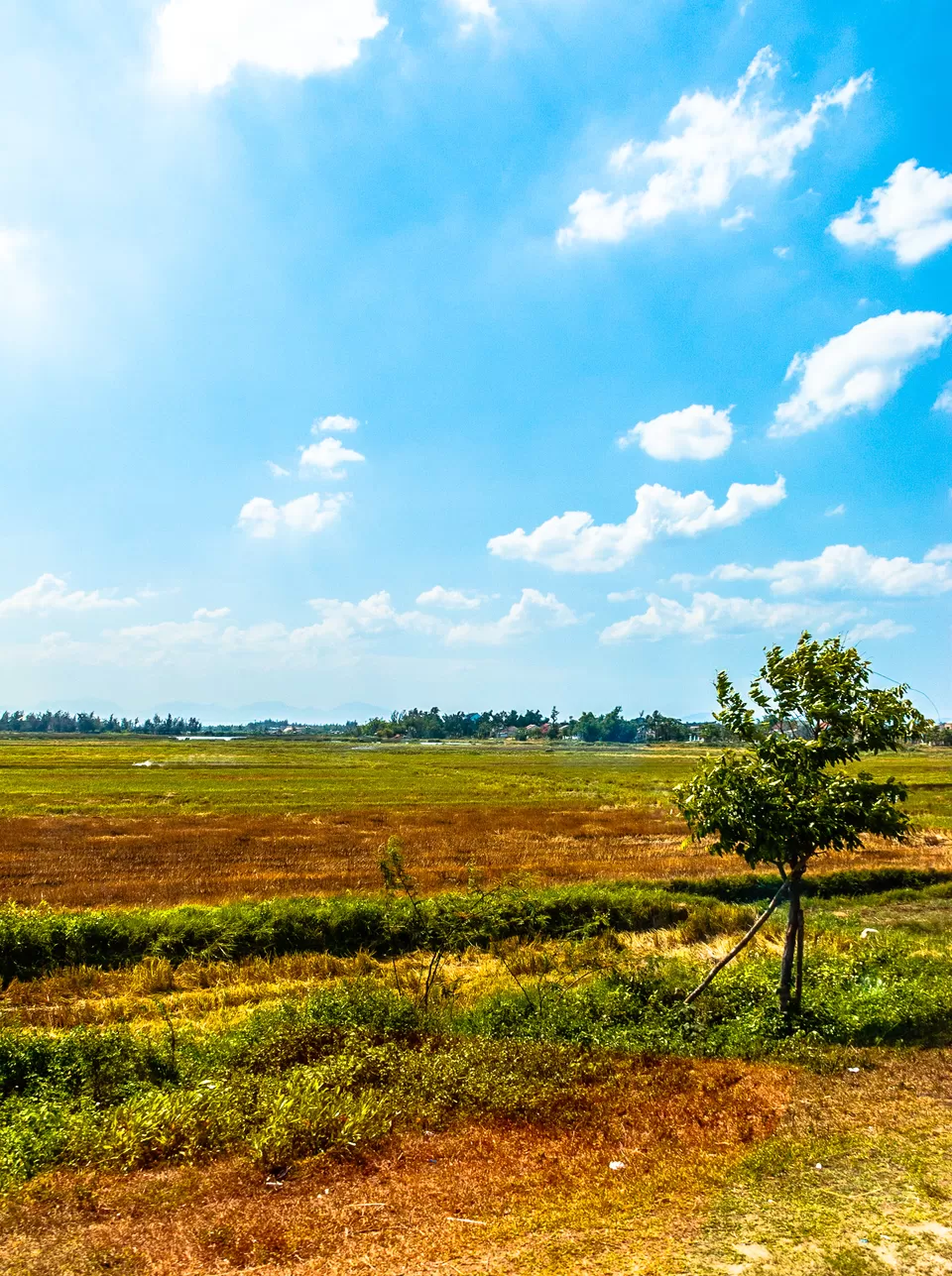 Photo of Hội An, Quang Nam province, Vietnam by Andrew Ng De Rong