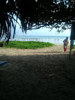 Photo of Radhanagar Beach, Andaman and Nicobar Islands by Shilp S
