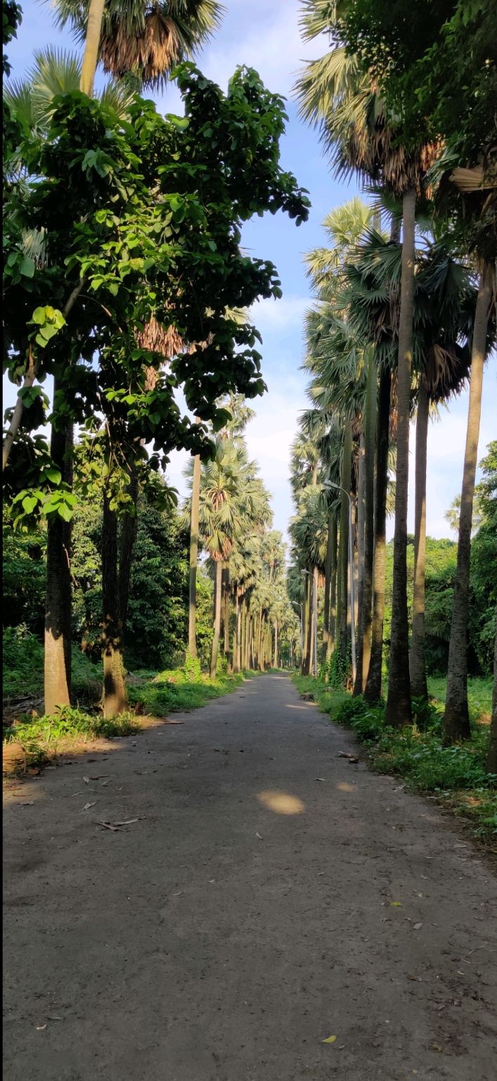 Photo of Botanical Garden Road, Shibpur, Howrah, West Bengal, India by Puja