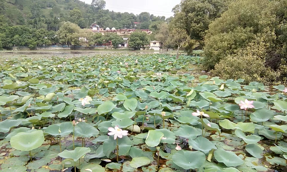 Photo of Nainital, Uttarakhand, India by Nikhil Rathi