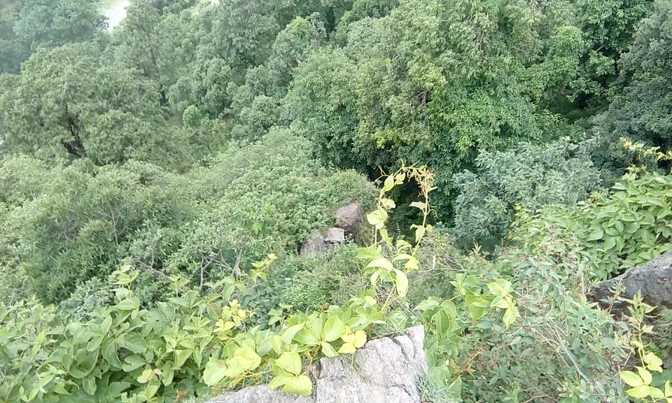 Photo of Nainital, Uttarakhand, India by Nikhil Rathi