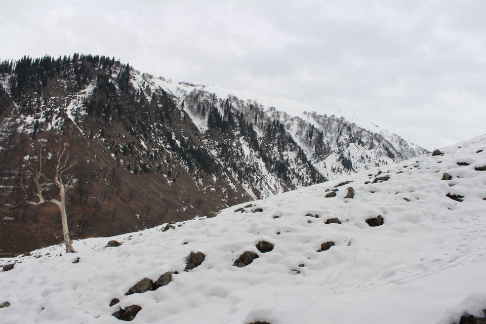 Photo of Srinagar: Heaven on Earth 18/53 by Nikhil Rathi