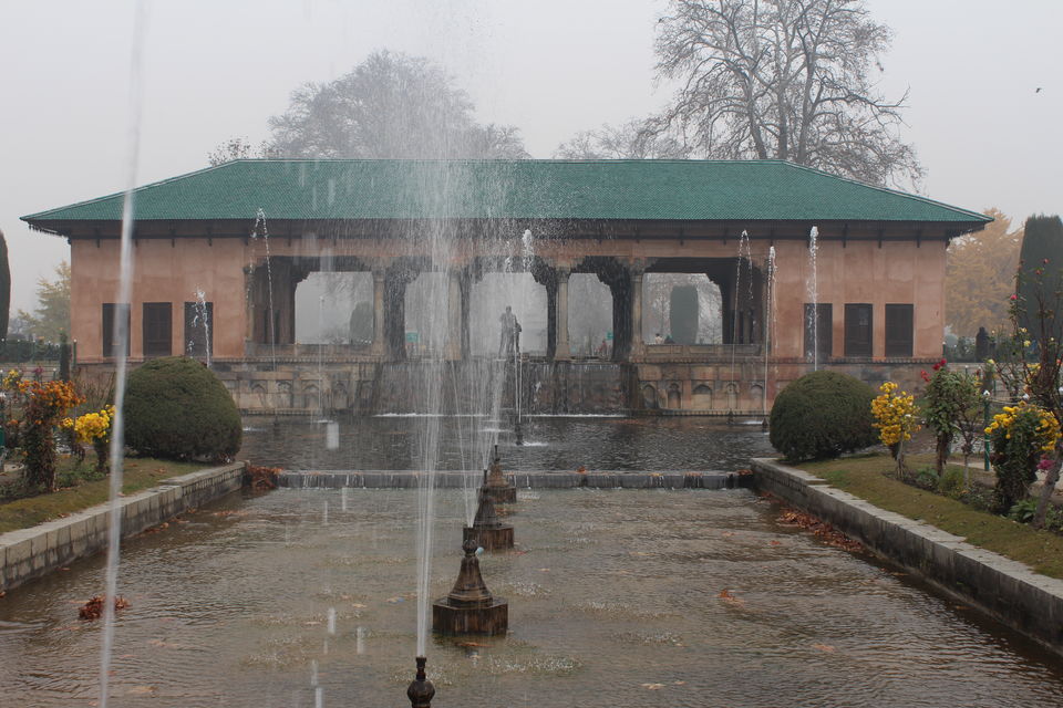 Photo of Srinagar: Heaven on Earth 35/53 by Nikhil Rathi
