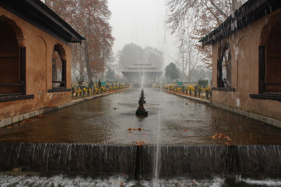 Photo of Srinagar: Heaven on Earth 39/53 by Nikhil Rathi