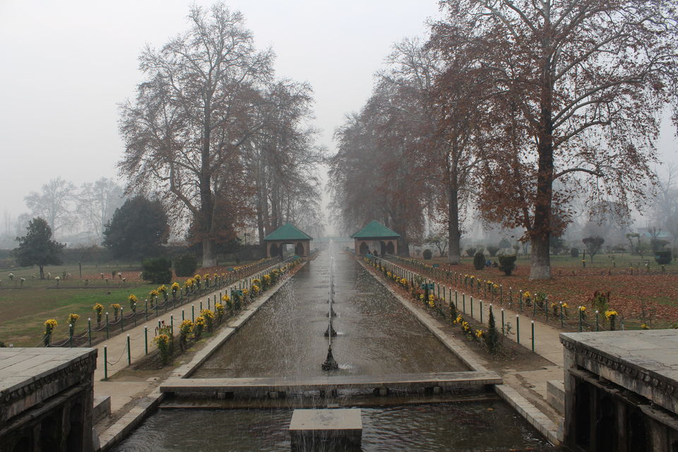Photo of Srinagar: Heaven on Earth 40/53 by Nikhil Rathi