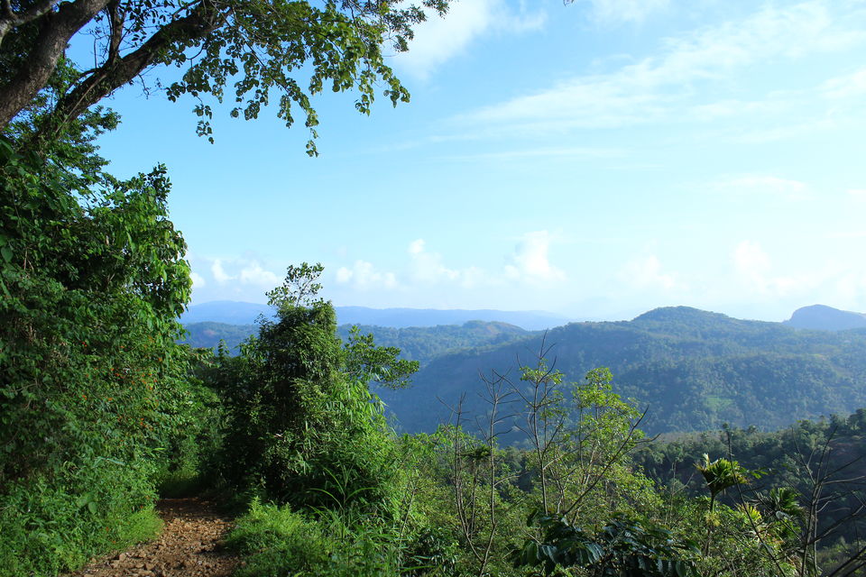 Photo of Angamaly, Kerala, India by Akhil Narayanan