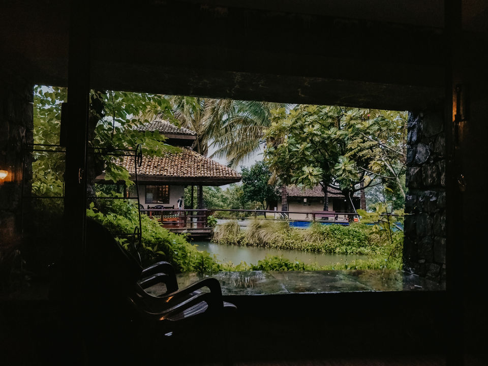 Photo of Malhar Machi, a slice of heaven 2 hours away from Pune! by Sneha Parhi