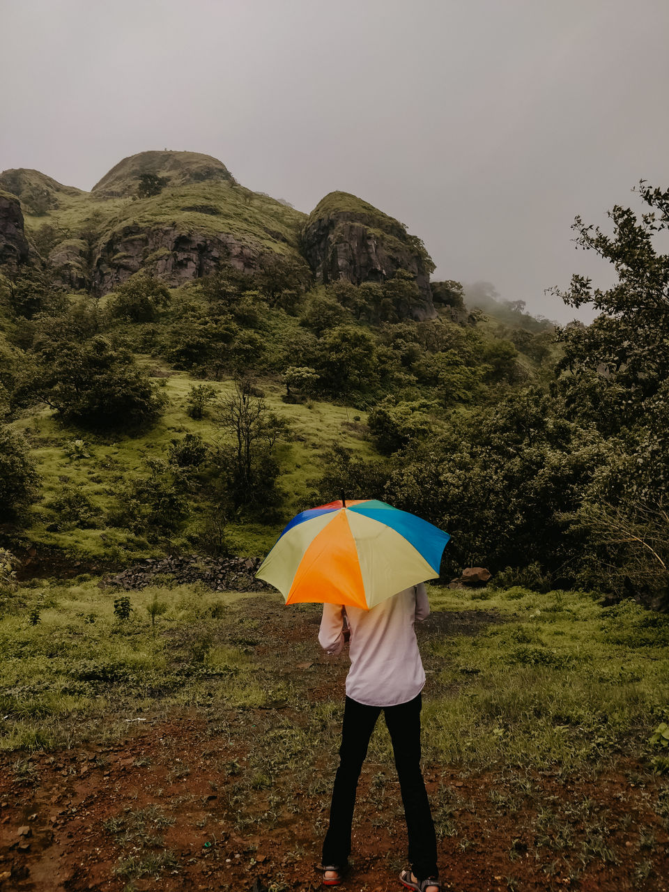 Photo of Malhar Machi, a slice of heaven 2 hours away from Pune! by Sneha Parhi