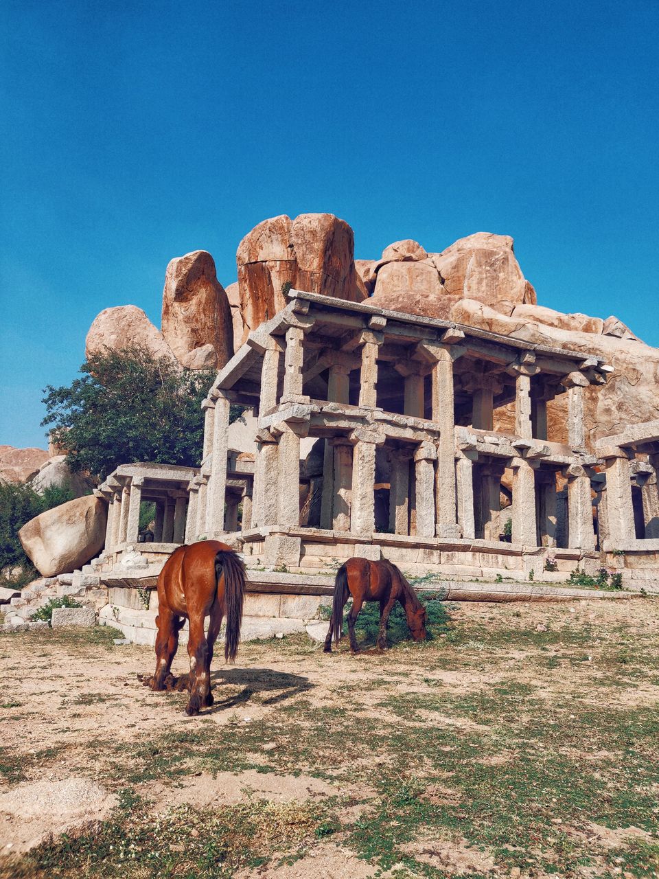 Photo of A solo woman backpacker's guide to the other side of Hampi by Sneha Parhi