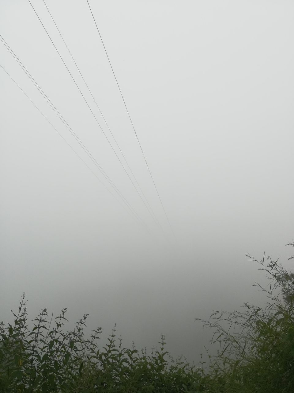 Photo of Trip to mussorie using cycle by Snaked