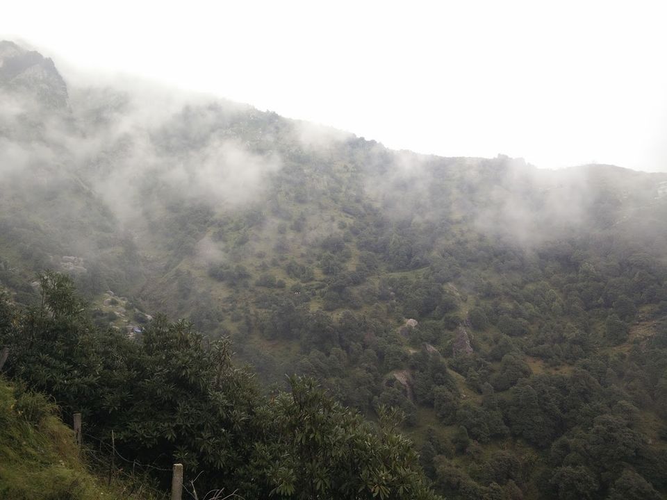 Photo of Tryst with the Dhauladhars: The first glimpse 2/39 by Subi Das
