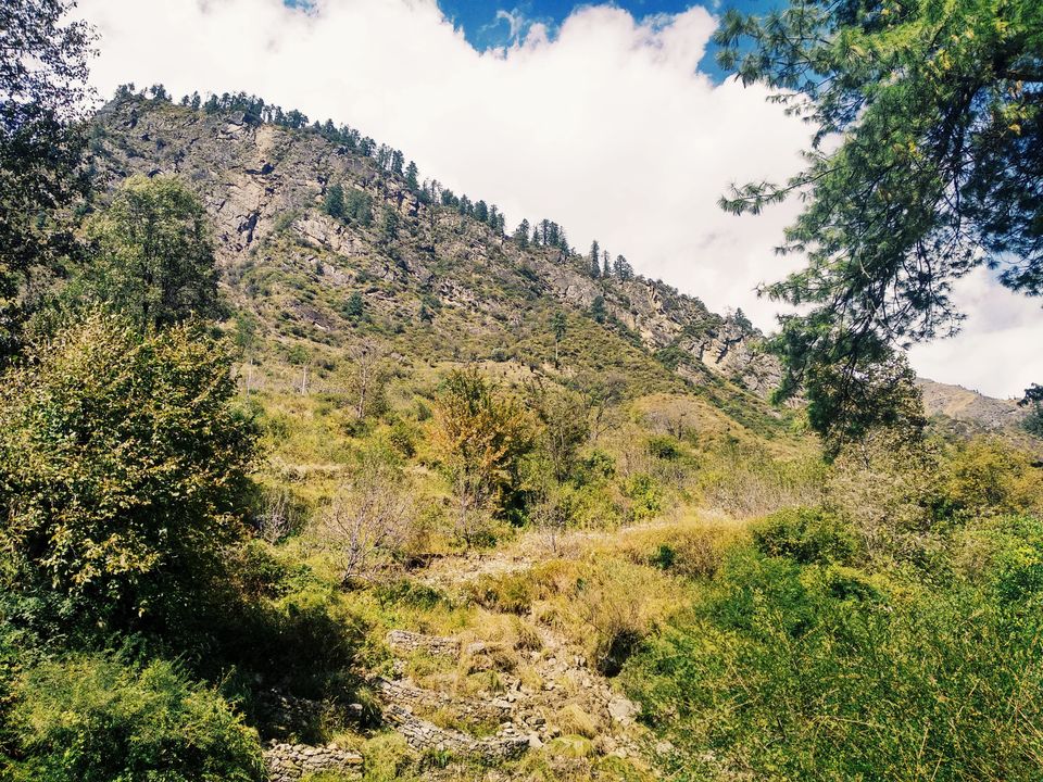 Photo of Tosh, Himachal Pradesh "For the sake of Eternity" 5/14 by Sagar Toppo