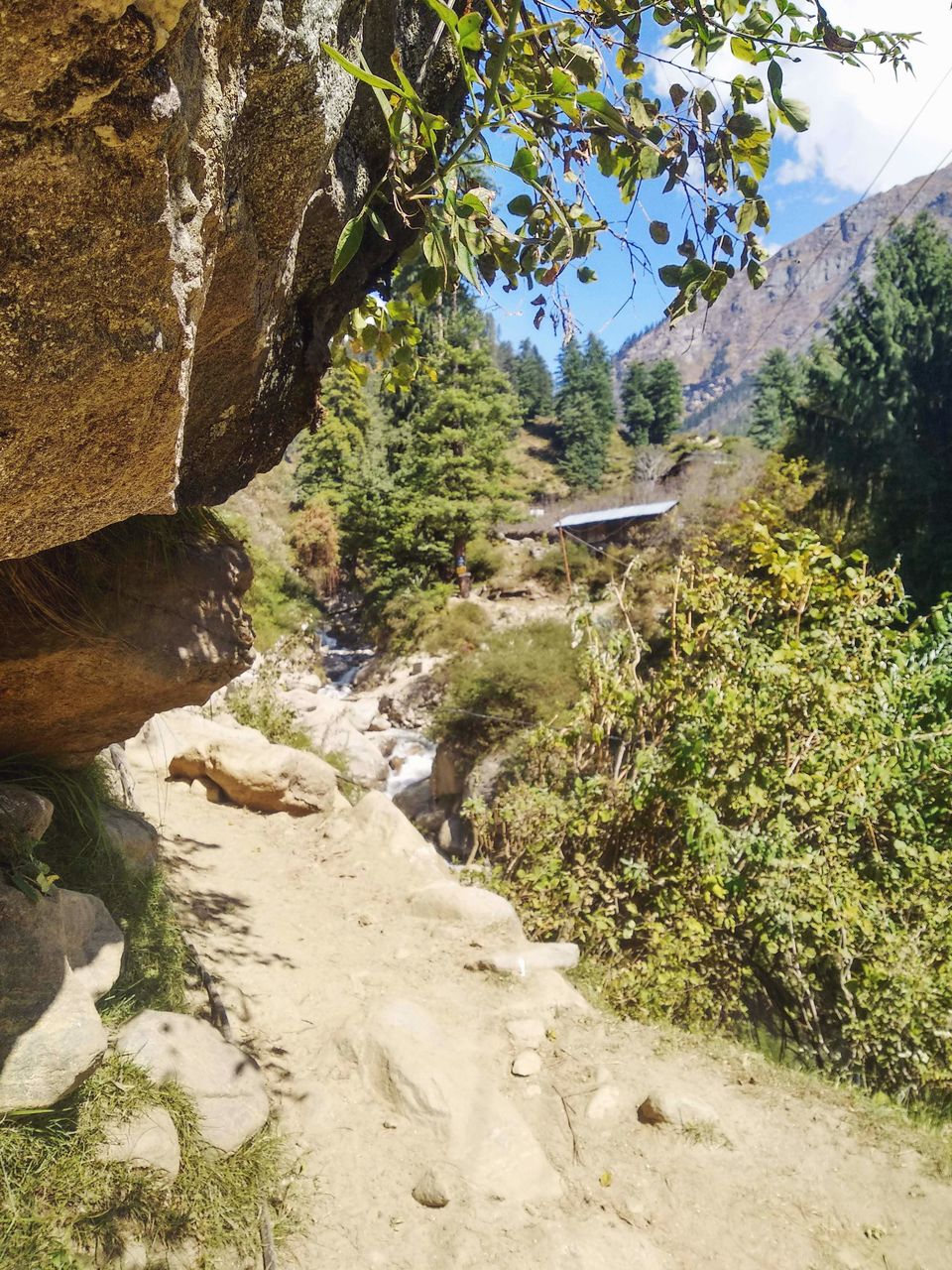 Photo of Tosh, Himachal Pradesh "For the sake of Eternity" 8/14 by Sagar Toppo