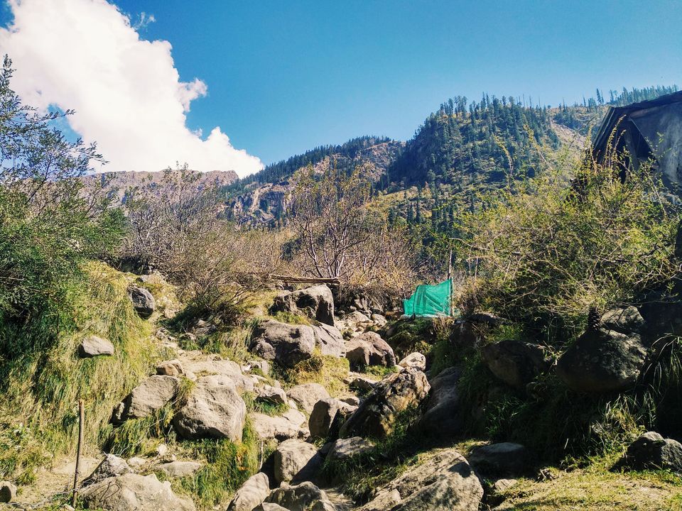 Photo of Tosh, Himachal Pradesh "For the sake of Eternity" 9/14 by Sagar Toppo