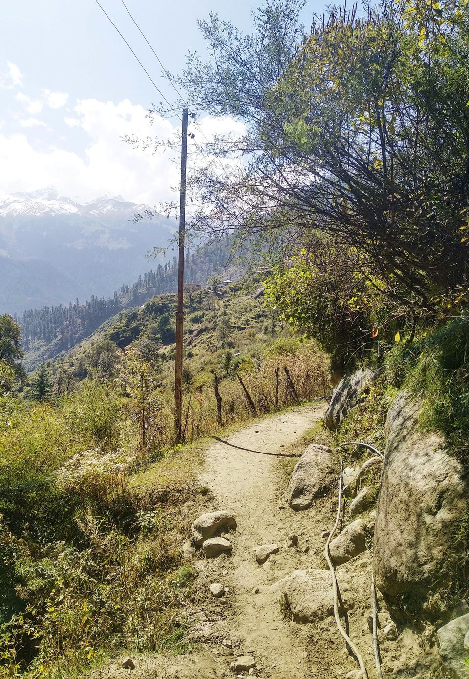 Photo of Tosh, Himachal Pradesh "For the sake of Eternity" 11/14 by Sagar Toppo