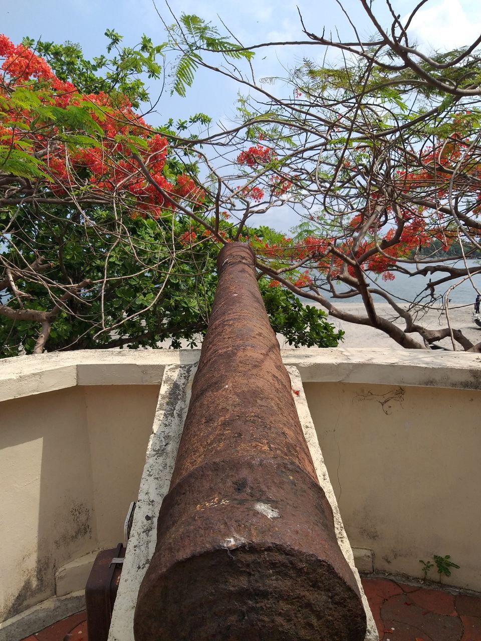 Photo of Mission Fort Kochi- A thorough guide through it's streets and history. by Joyla Fernandes