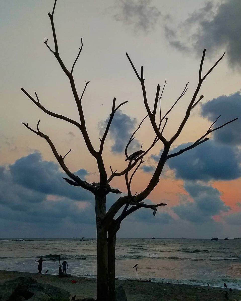Photo of Mission Fort Kochi- A thorough guide through it's streets and history. by Joyla Fernandes