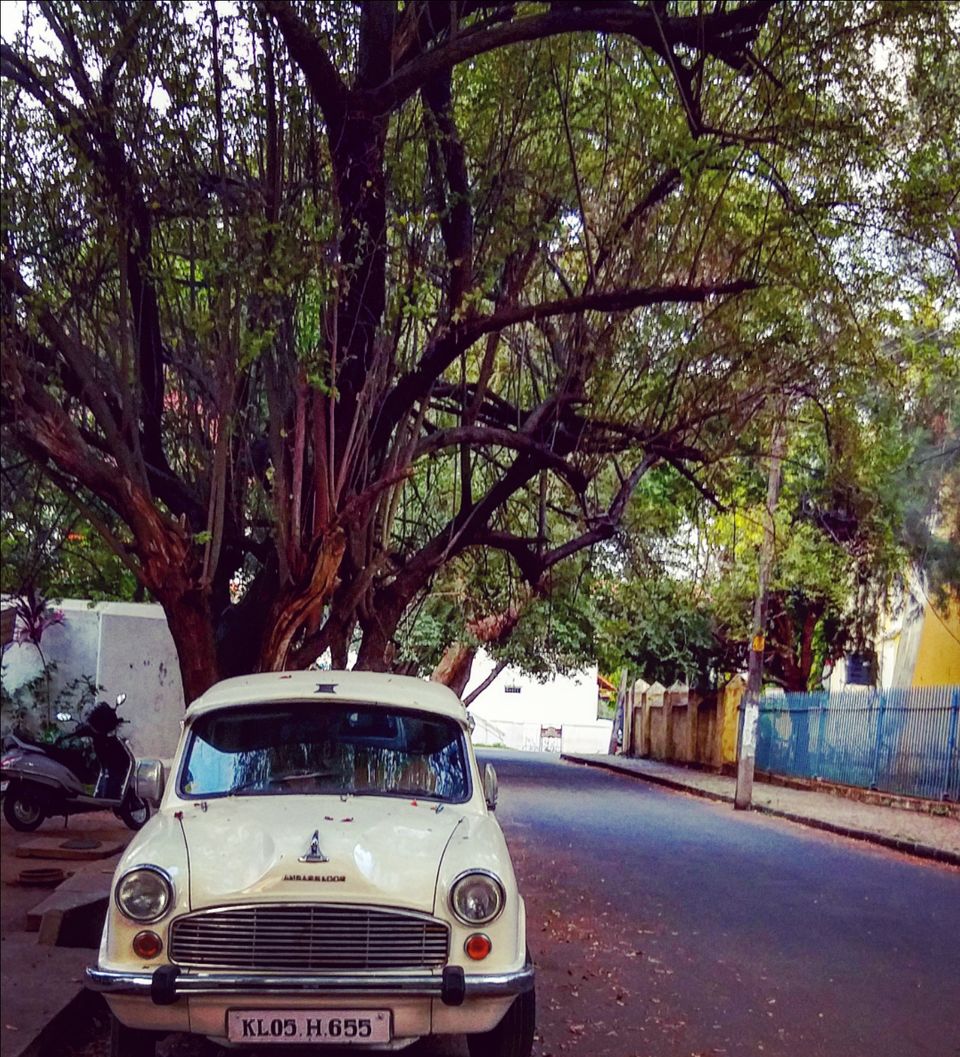 Photo of Mission Fort Kochi- A thorough guide through it's streets and history. by Joyla Fernandes