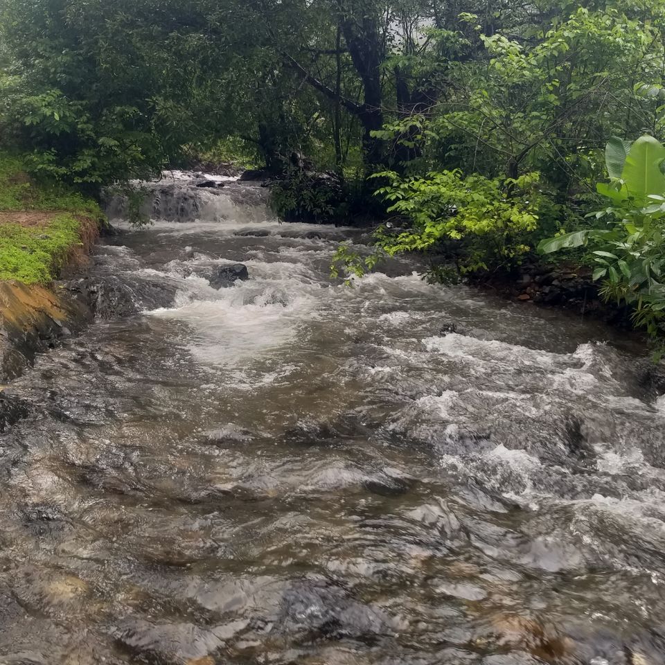 Photo of Monsoon in Goa-What's in store! #monsoonplace by Joyla Fernandes