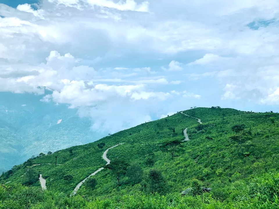 Photo of Tinchuley Lopchu Road, Tukdah Forest, West Bengal, India by Kabir Basak