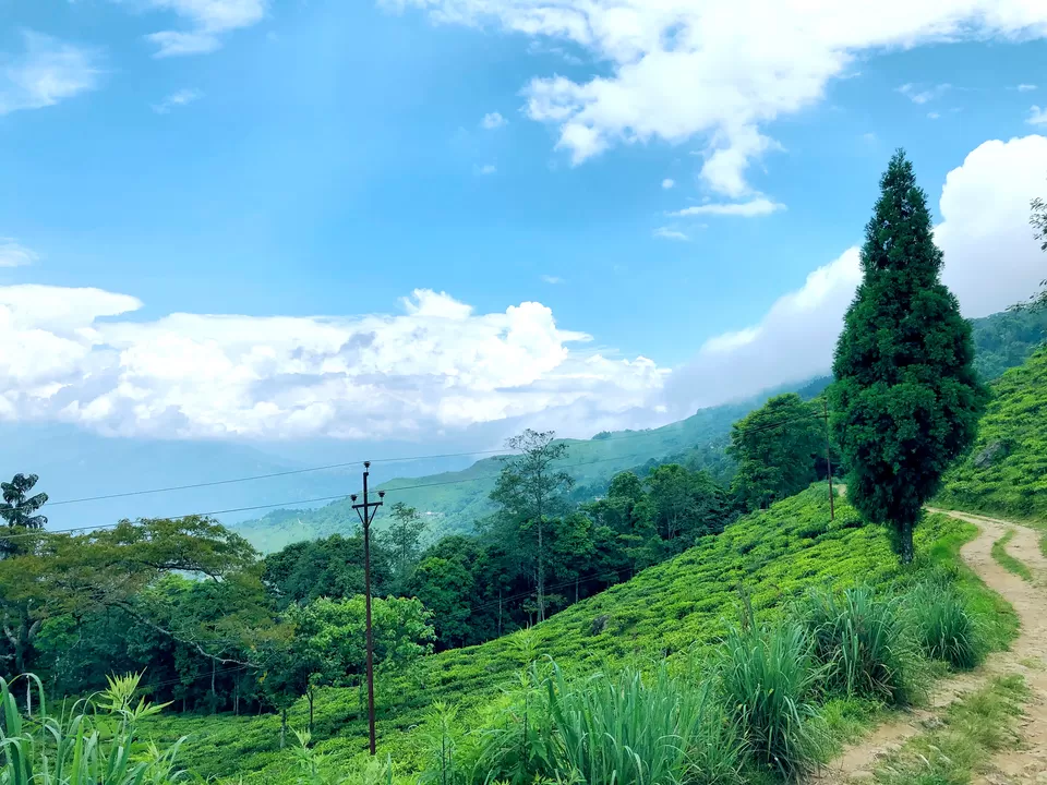 Photo of Tinchuley Lopchu Road, Tukdah Forest, West Bengal, India by Kabir Basak