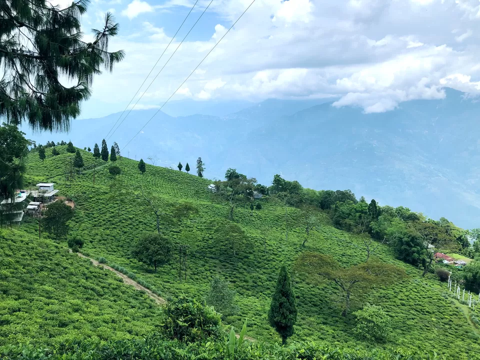 Photo of Tinchuley Lopchu Road, Tukdah Forest, West Bengal, India by Kabir Basak