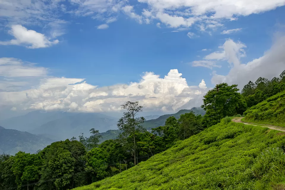 Photo of Tinchuley Lopchu Road, Tukdah Forest, West Bengal, India by Kabir Basak