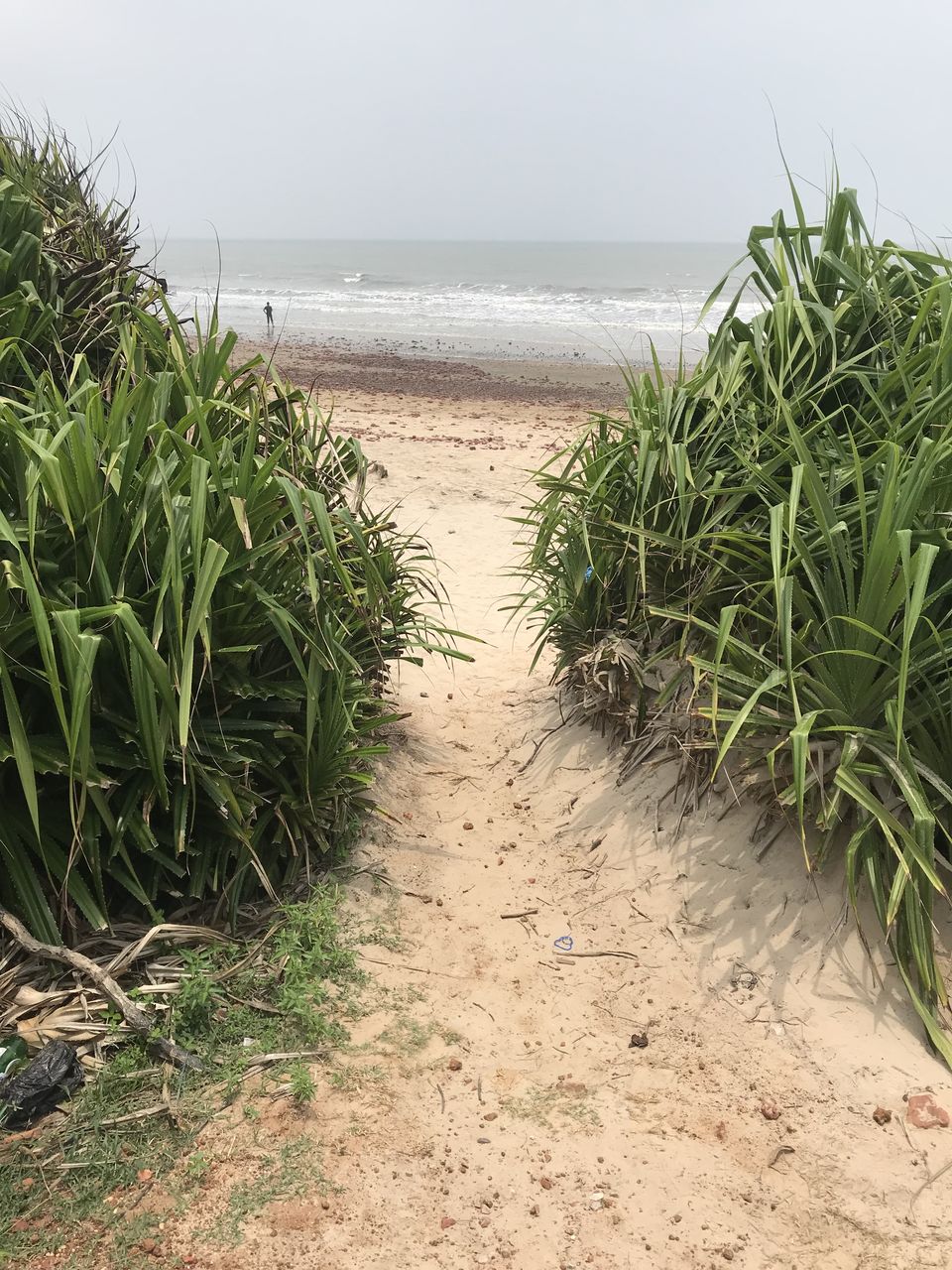 Photo of A weekend getaway to Tajpur 3/7 by Kabir Basak