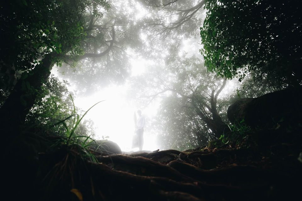 Photo of Born A Pixel: Itching its way into my explicit memory by ganesh krishnan R