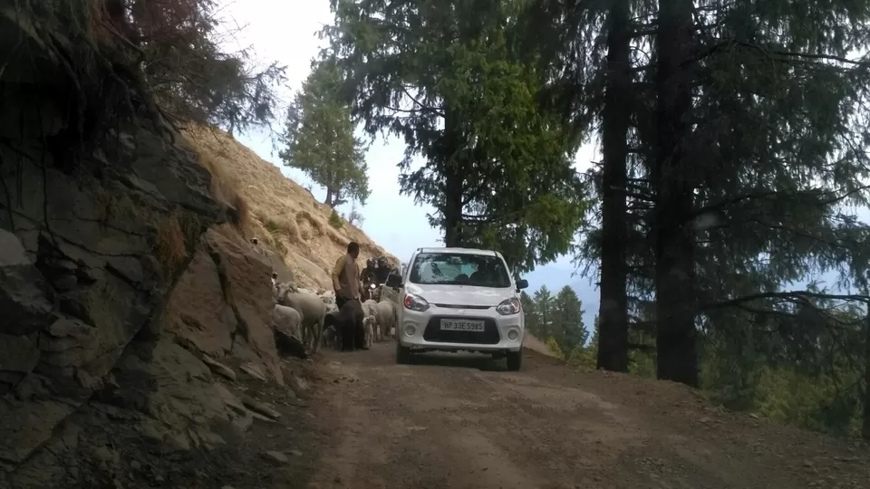 Photo of Mandi, Himachal Pradesh, India by Priyankit Bharadwaj