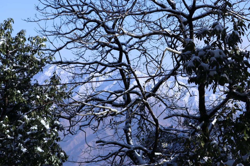 Photo of Mussoorie, Uttarakhand, India by Priyankit Bharadwaj