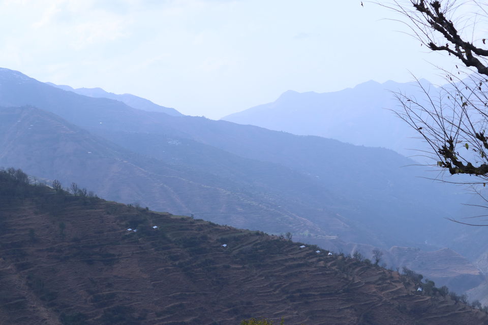 Photo of Pantwari, Uttarakhand, India by Priyankit Bharadwaj