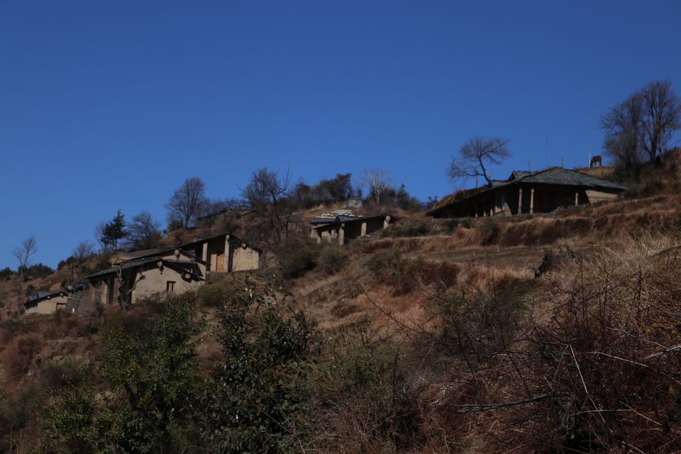 Photo of Pantwari, Uttarakhand, India by Priyankit Bharadwaj