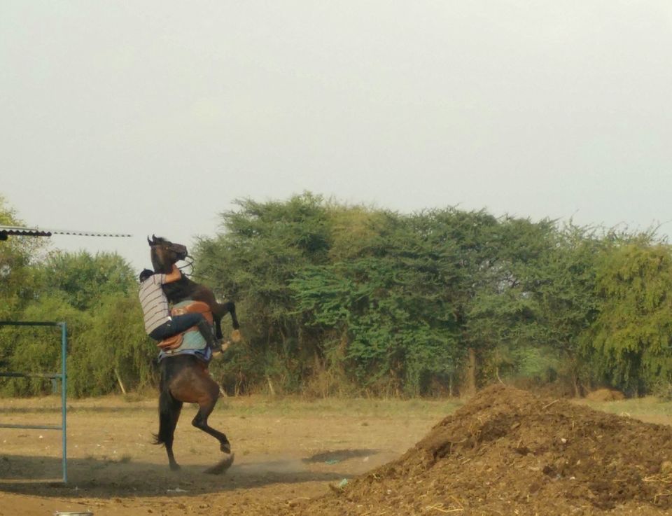 Photo of Road trip across India by Moving Quickly