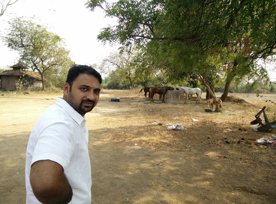 Photo of Road trip across India by Moving Quickly