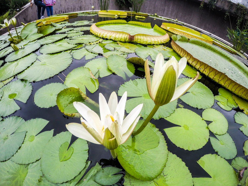 Photo of University of Zürich – Botanical Garden By Marcel Serrano
