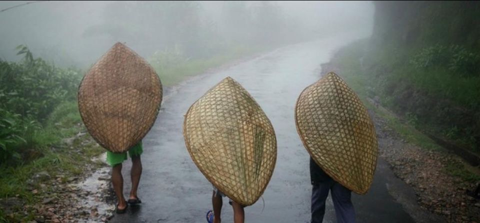 Photo of मौसिनराम : बारिश के दीवाने इस बात को ज़रूर जाने। by Shareef
