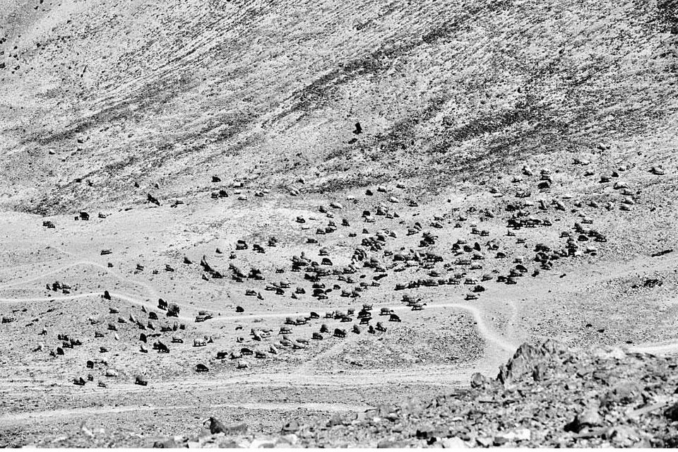 Photo of मारखा घाटी : रोमांच से भरपूर है लेह लद्दाख की मारखा घाटी ट्रेकिंग by Shareef