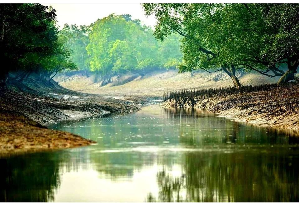 Photo of सुंदरबन : फोटोग्राफर के लिए जन्नत। by Shareef