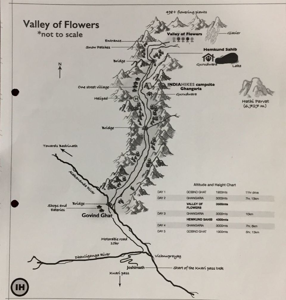 Photo of Valley of Flowers 6/7 by Akriti Gupta