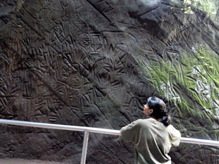 Photo of Wayanad 6/12 by Akriti Gupta